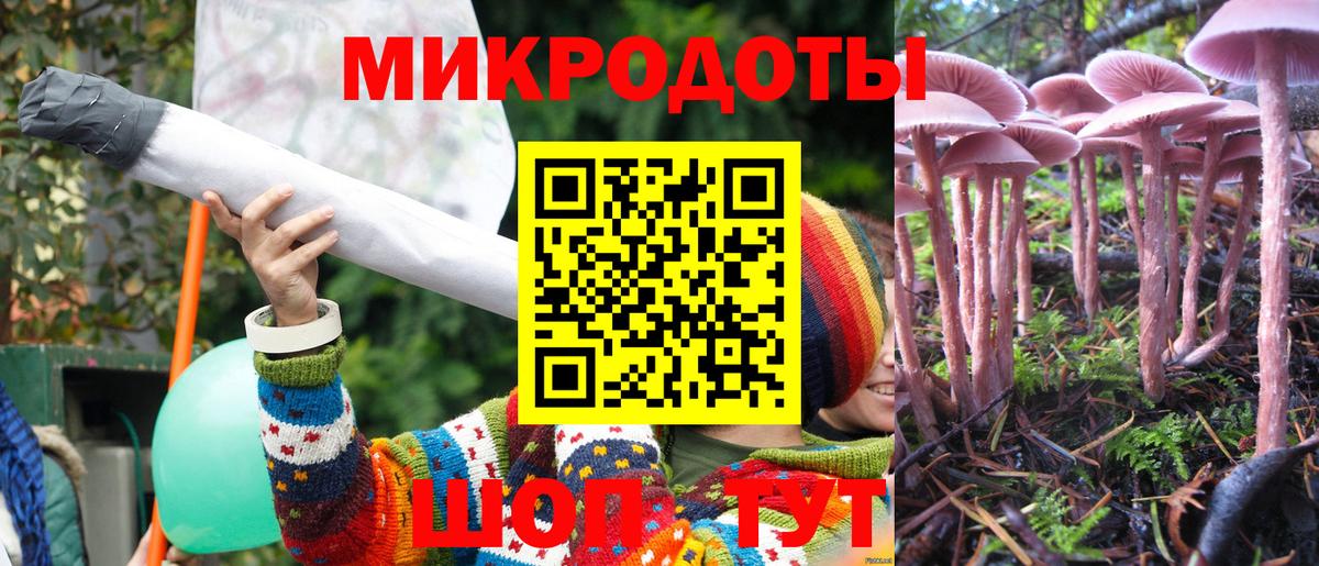 Верхняя Пышма  Псилоцибиновые грибы мицелий  Вход с VPN  Галлюциногенные грибы ЛСД 